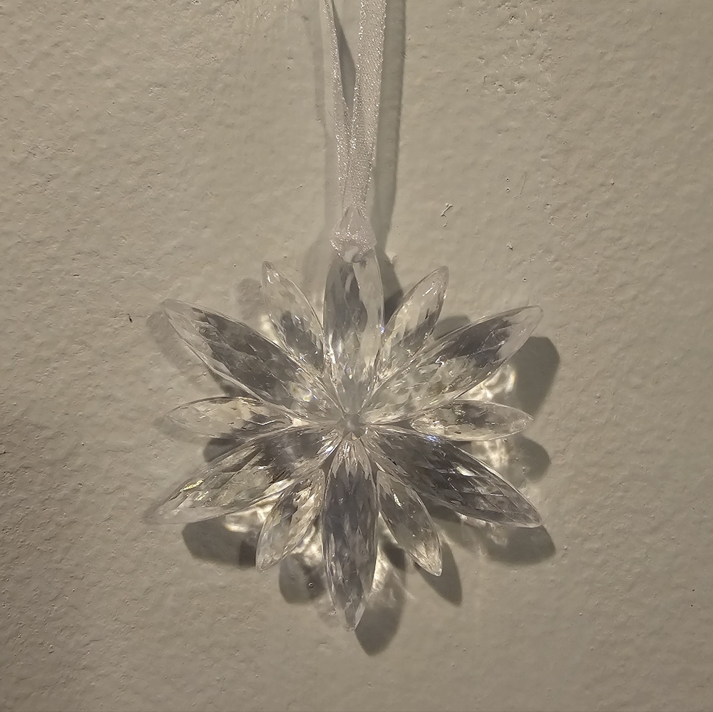 Snowflake Ornaments (Set of 10) NIP